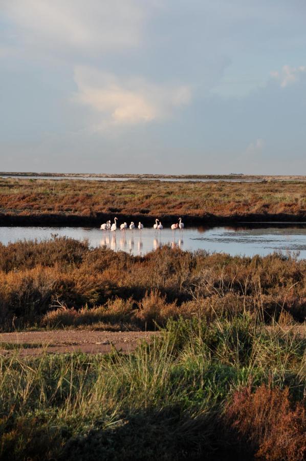 Campsite Salines