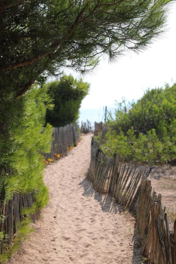 Campsite Salines